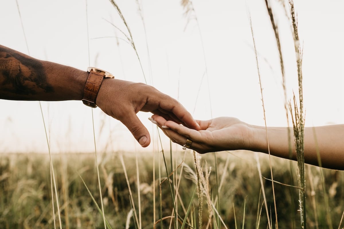 Two hands reaching toward each other in tall golden grass